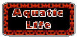 Aquatic Life Stationary