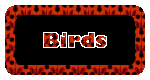 Bird Stationary